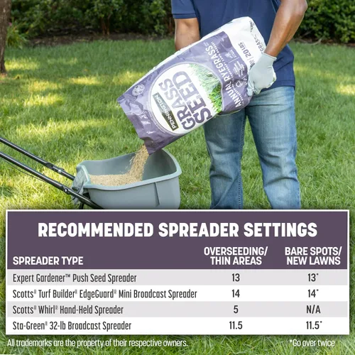 Vista 13 de Pennington Semilla anual de pasto de Ryegrass 10 lb