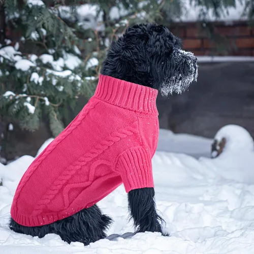 Vista 39 de Queenmore - Suéter de punto trenzado con cuello alto para perros pequeños, para climas fríos, para chihuahua, bulldog, teckel, carlino y yorkie, XS