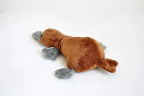 Vista 5 de TAMMYFLYFLY Almohada de felpa suave de ornitorrinco realista de 8.6 pulgadas, Kawaii para niñas y niños, juguetes de animales de peluche con pico