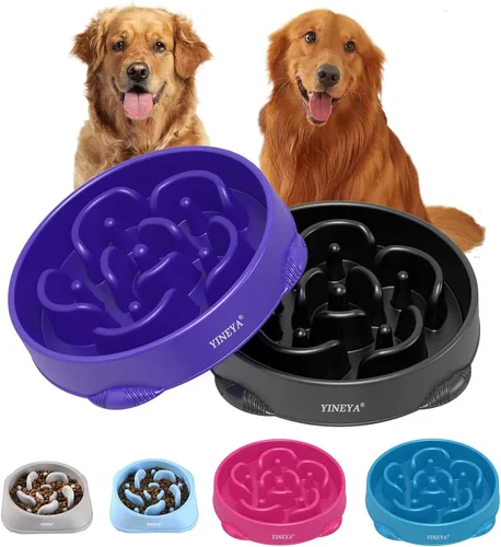 Vista 22 de YINEYA 2 cuencos de alimentación lenta antiasfixia para perros de tamaño pequeño, cuenco de alimentación lenta para gatos, suministros