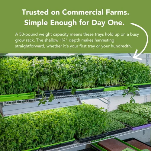 Vista 4 de Bootstrap Farmer - Bandejas Microgreen 1020, paquete de 5 bandejas de semillas extra resistentes y poco profundas con orificios - Cultivo