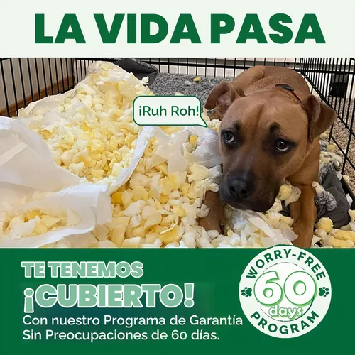 Vista 12 de FurHaven Cama ortopédica clásica para perros grandes estilo sofá, con acolchado estilo huevo y base de espuma ortopédica sólida para soporte Gris