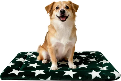 Vista 25 de Tapete para cama de perro, suave y cómodo, para jaula, cama y alfombrilla duradera para perros y gatos, ideal para jaulas, perreras y uso doméstico