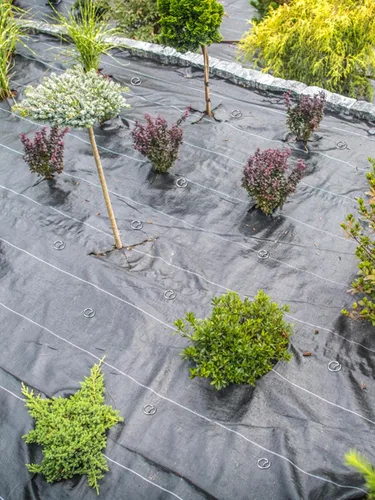 Vista 6 de 60 grapas de paisaje gruesas de calibre 7, estacas de jardín galvanizadas antioxidantes de 6 pulgadas, pasadores superiores circulares de paisaje