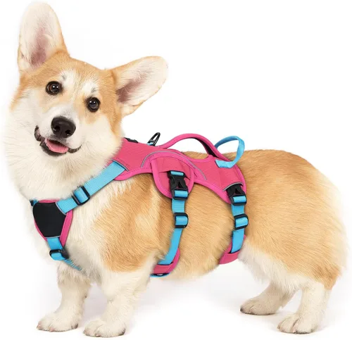 Vista 53 de rabbitgoo Arnés de perro a prueba de escape para pequeños, sin tirones con Negro