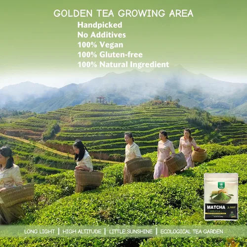 Vista 5 de TIAN HU SHAN Polvo de té verde Matcha 3.5 oz/100 g, Polvo de Matcha puro de grado culinario sin azúcar para latas, cocina, horneado, vegano 100%