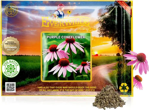 Vista 8 de Everwilde - Semillas de equinácea morada de 1 oz, 7,700 unidades, flores rosas y moradas, Echinacea purpurea nativa, perenne, resistente a