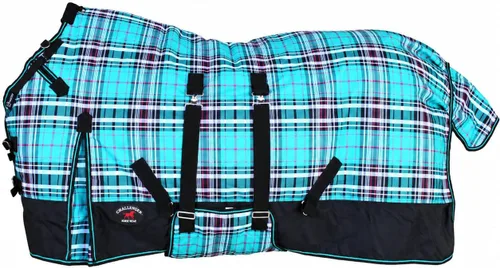 Vista 17 de CHALLENGER 1200D Foal Winter Blanket Miniature Pony Donkey Bellyband Turquoise Rustic Púrpura Rosa Ombre