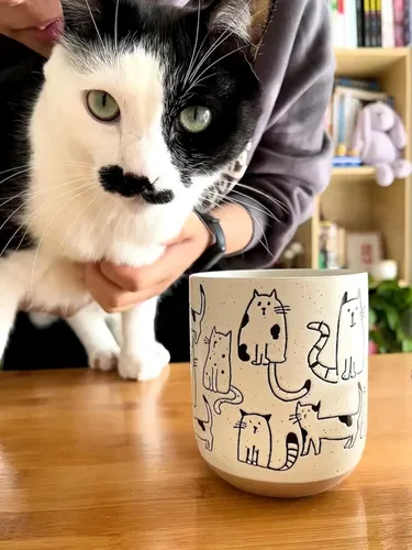 Vista 2 de Taza de cerámica con gatos de dibujos animados en blanco y gris con asa, taza de café de 550ml/18.6oz. Linda, divertida y novedosa taza vintage