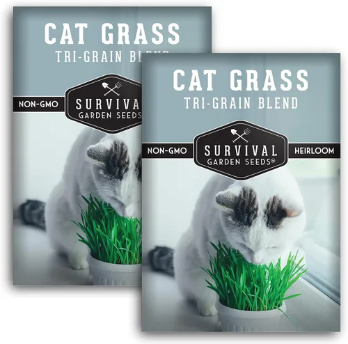 Vista 11 de Semillas de hierba para gatos para plantar, 3 paquetes con instrucciones para plantar y cultivar verduras para tu mascota en interiores o exteriores