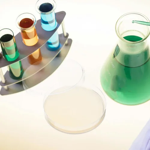 Vista 6 de ULTECHNOVO Platos de agar de dextrosa de patata, platos de agar de dextrosa prevertida PDA Petri - Excelente medio de crecimiento - Proyectos