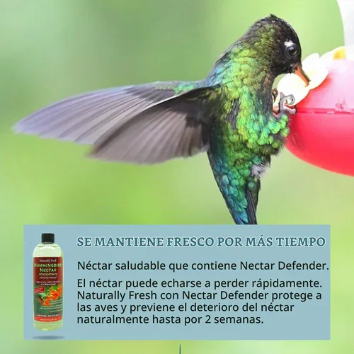 Vista 4 de Néctar de colibrí naturalmente fresco con defensor de néctar – Néctar de larga duración para comederos de colibríes – Concentrado fácil de usar