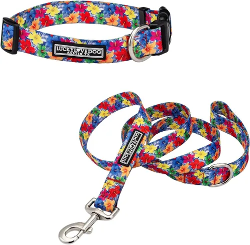 Vista 86 de Lucky Love Dog - Collar para perras pequeñas, diseño Blackbird de estampado alegre con flores de primavera y verano, talla XS Collar Blackbird