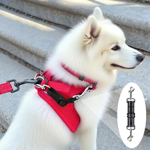 Vista 3 de Clip de seguridad para perro, clip de seguridad para collar de punta, clip de collar de perro ajustable reflectante de nailon para cachorro, arnés