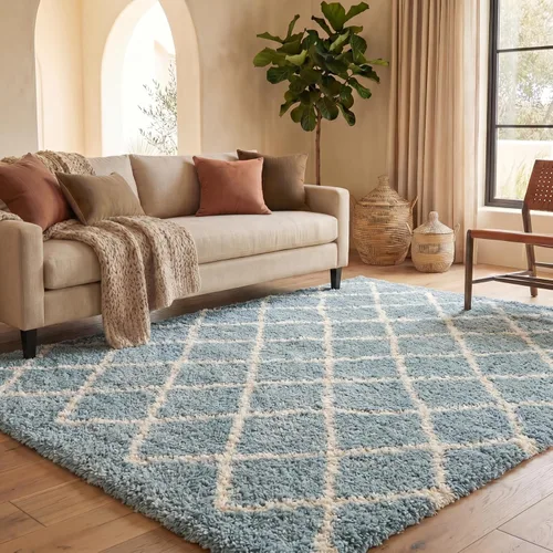 Vista 36 de Colección Safavieh Shag