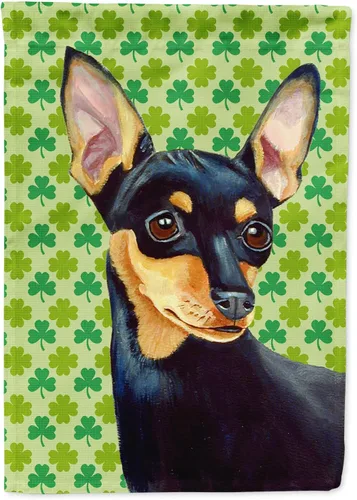 Vista 137 de Caroline's Treasures SS4442GF Affenpinscher Bandera de jardín con retrato de trébol del día de San Patricio para buzón, bandera decorativa