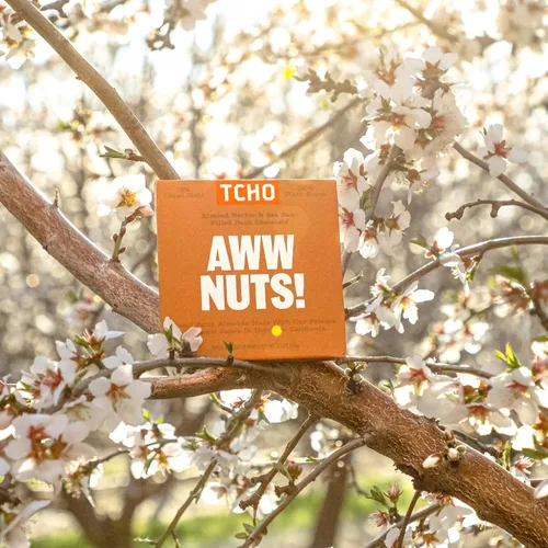 Vista 4 de TCHO Aww Nuts! Barras de chocolate negro 75% (paquete de 3) A base de plantas, orgánicas y de comercio justo, sin OMG, sin lácteos, veganas, sin