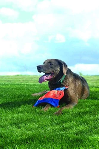 Vista 6 de Chuckit! Juguete para perros Ultra Tug (mediano) de ardilla voladora para perros (mediano)