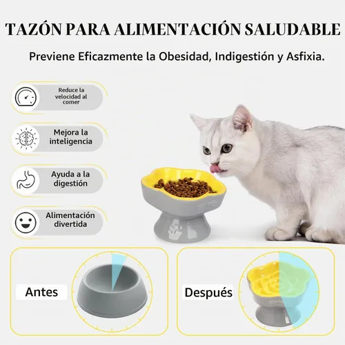 Vista 3 de S&Q's CERAMICS Cuenco elevado de alimentación lenta para gatos, cuenco elevado de cerámica para perros pequeños, comedero lento en forma de flor