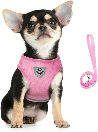 Vista 9 de FEimaX juego de arnés y correa para perro para caminar, de malla suave ajustable de control fácil, arneses de chaleco ligeros para gatos con tiras