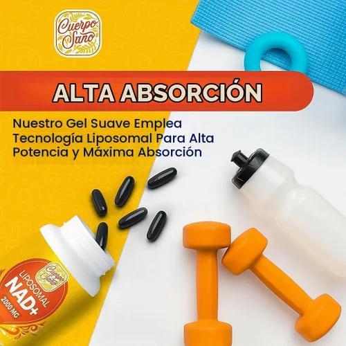 Vista 4 de Suplemento NAD de 2000 MG, NAD+ liposomal con alta absorción, más eficiente que la ribósido de nicotinamida, suplemento potenciador puro y Plus
