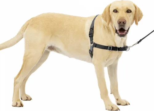 Vista 42 de PetSafe Easy Walk - Arnés para perro, sin tirones, gris carbón Carbón/Negro