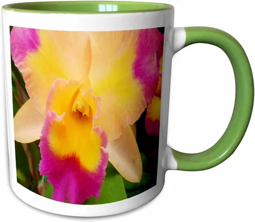 Vista 7 de 3dRose Florene Flores – Gorgeous Orquídea – Tazas, Negro/Blanco