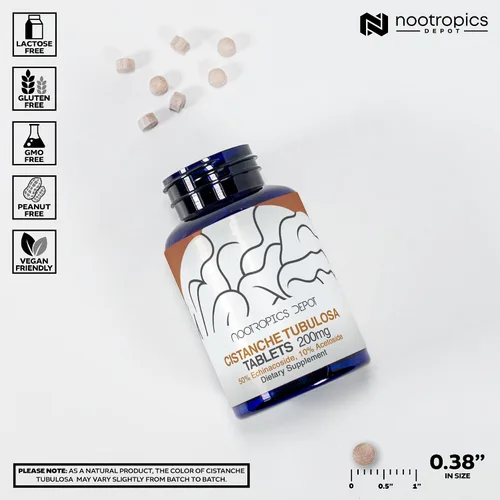 Vista 3 de Nootropics Depot Tabletas de Cistanche tubulosa 200 mg 60 unidades Mínimo 50% equinacosido + 10% acetósido (verbascósido) Promueve la fuerza