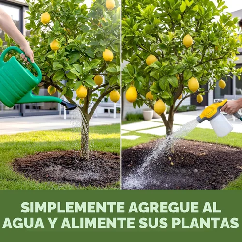 Vista 6 de Abono para Árbol de Limón, Alimento Completo para Plantas de Árbol de Limón, 8 oz (250mL) Promotes Fruit Production, For Meyer & Dwarf Varieties