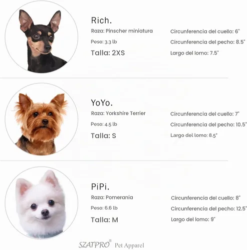 Vista 4 de Camisetas a rayas para perros y gatos, 102 % algodón, para perros y gatos pequeños, ropa sin mangas para cachorros para Chihuahua, verde Yorkie