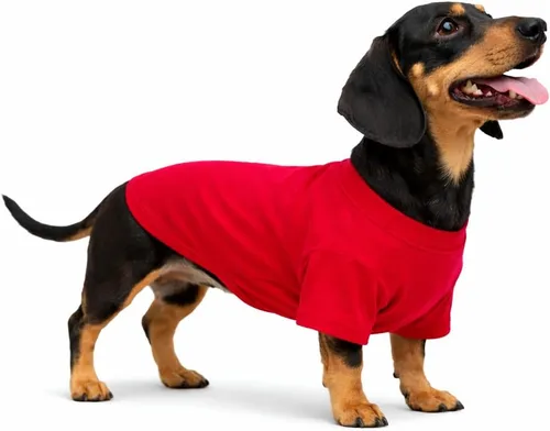 Vista 162 de Lovelonglong 2019 - Ropa para mascotas, Disfraces para Perro, Ropa Camisetas en blanco para Perros Grande Medianos Pequeños 100% Algodón 18