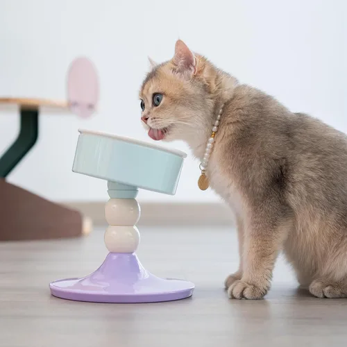 Vista 7 de Cuencos elevados de cerámica para gatos, 3 alturas ajustables, soporte elevado para gatos de interior y perros pequeños, platos inclinados