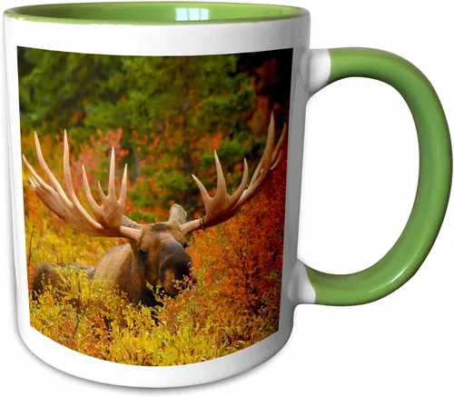 Vista 7 de 3dRose 142049_4 - Taza, 11 onzas, color negro