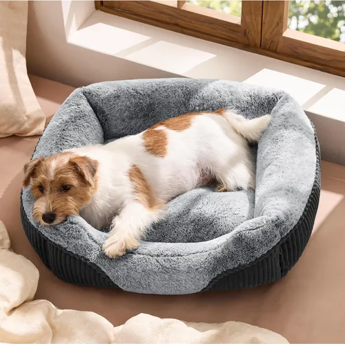Vista 9 de Bedsure Cama Lavable para Perro Tamaño Pequeño Mediano - Cama Rectangular Esponjosa de Felpa para Mascotas Cama para Cachorro, Cómoda Pana de Forro