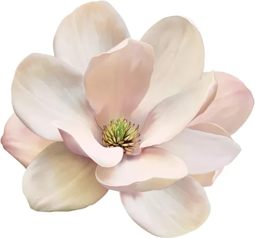 Vista 5 de Calcomanías de pared de flores de magnolia media, juego de 7 calcomanías de pared ecológicas, extraíbles y reutilizables