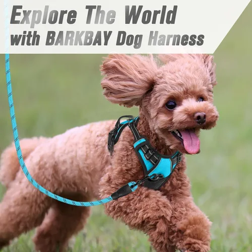 Vista 253 de BARKBAY - Arnés para perro sin tirones con clip frontal, material resistente y reflectante, asa de fácil control para pasear perros grandes