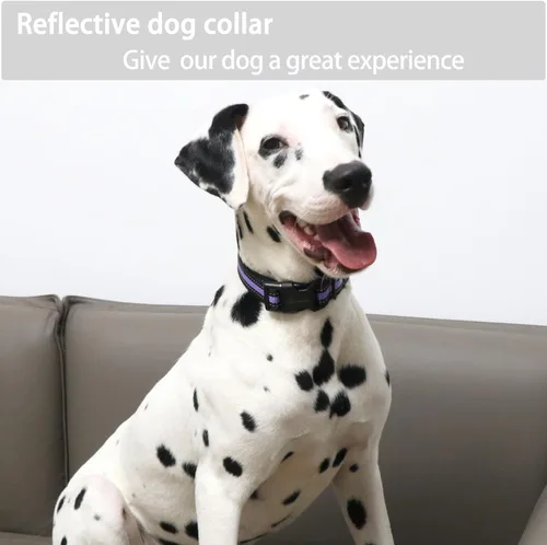 Vista 4 de ARING PET Collar reflectante para perro, collar de perro morado suave para perros medianos, collares de perro de nailon ligero con hebilla