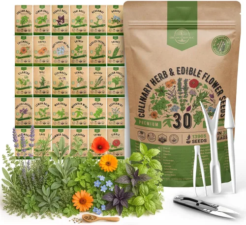 Vista 11 de Organo Republic Paquete variado de 12 semillas de hierbas culinarias - 7,355+ semillas criollas, sin transgénicos, para jardinería en interiores