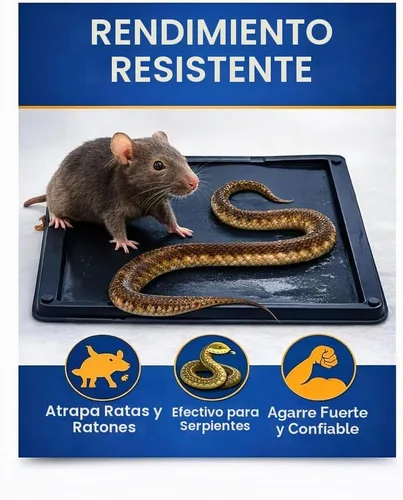 Vista 3 de Trampas de pegamento para interiores para el hogar, paquete de 12, trampas de pegamento a granel para ratas, ratones, serpientes y lagartos,