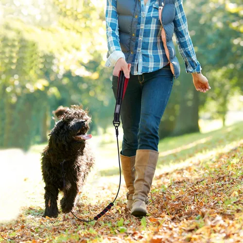 Vista 6 de VIVAGLORY Toughbite - Correa para perro a prueba de mordeduras, no masticable, con mango de tráfico y doble asa para entrenamiento y caminar, metal