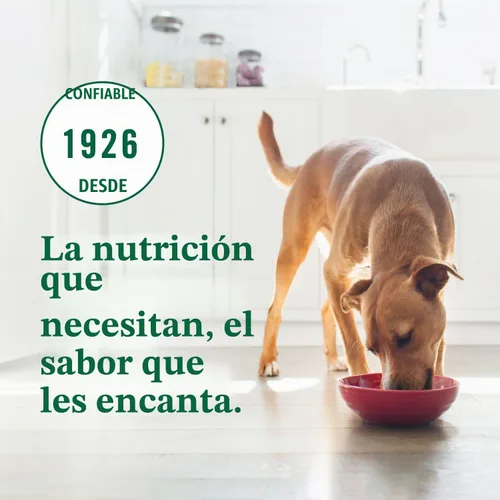 Vista 10 de Nutro Ultra High Protein - Alimento seco para perros mayores, pollo, cordero y salmón, 13 libras