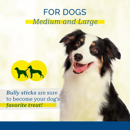 Vista 5 de 25 Jumbo 12 inch Bully Sticks