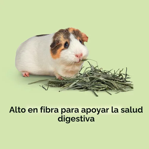 Vista 4 de Kaytee Heno Timothy Cortado en Obleas Totalmente Natural para Mascotas Conejillos de Indias, Conejos y Otros Animales Pequeños, 60 Onzas