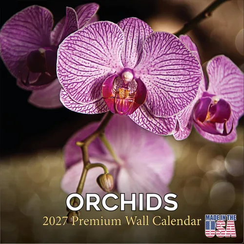 Vista 648 de Calendario de grises africanos 2025 2026 – Planificador mensual de pared de aves africanas – 12 x 18 pulgadas (abierto), calendario de pared