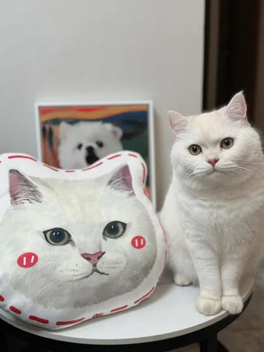 Vista 7 de Almohadas personalizadas para retratos de mascotas con fotos, almohada de perro 3D dibujada a mano, almohada personalizada de cara de gato