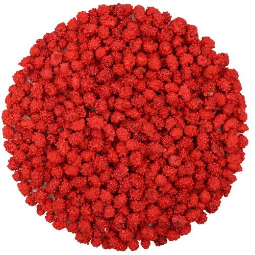 Vista 4 de FirstChoiceCandy French Burnt Peanuts Classic - Caramelos rojos antiguos, 2 libras