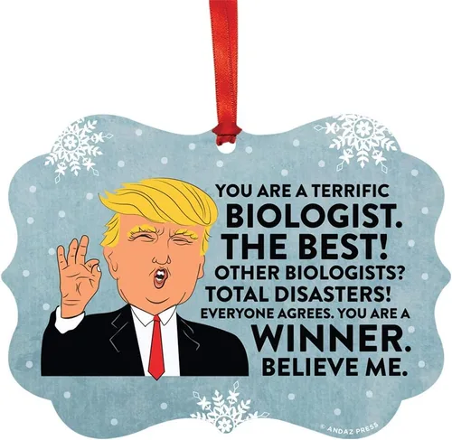 Vista 12 de Andaz Press Presidente Donald Trump Fancy Frame Recuerdo Adorno de Navidad Regalo de broma Ejecutivo de Cuenta, 1 paquete, Divertidas Ideas