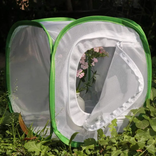 Vista 6 de RESTCLOUD Jaula de hábitat para insectos y mariposas con protección de cremallera, 12 x 12 x 12 pulgadas