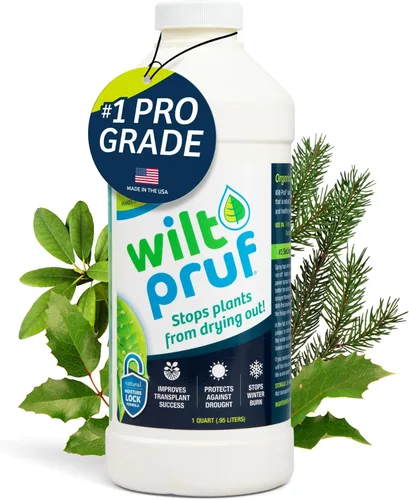 Vista 11 de Wilt-Pruf® Concentrado Protege contra daños en invierno, sequías y estrés Simplemente rocía y deja secar Bloquea la humedad con película