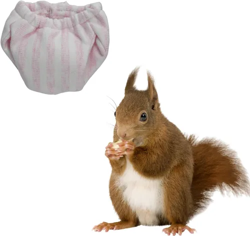 Vista 11 de Pañales lavables de ardilla – Pañales de tela reutilizables extra pequeños para mascotas, altamente absorbentes, a prueba de fugas, pantalones